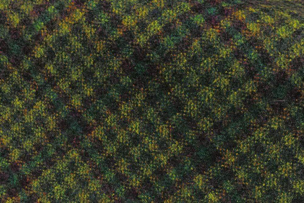 Outerwear | Lingo Luxe The Stately Overcoat | Mossland-Lingo Luxe Bespoke